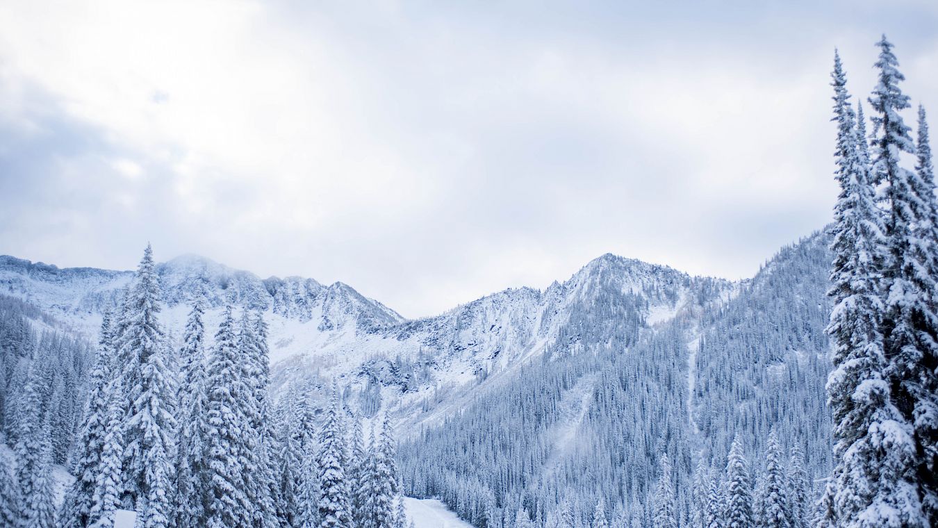 Weather to ski - Snow report - 29 December 2019