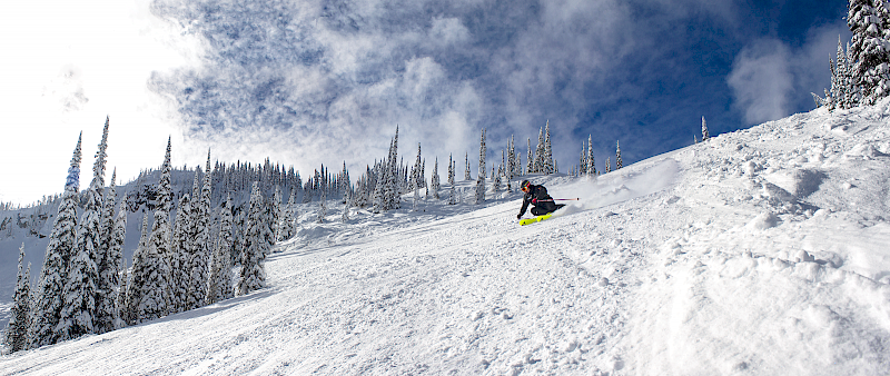 Sunny Skiing - Gina Begin